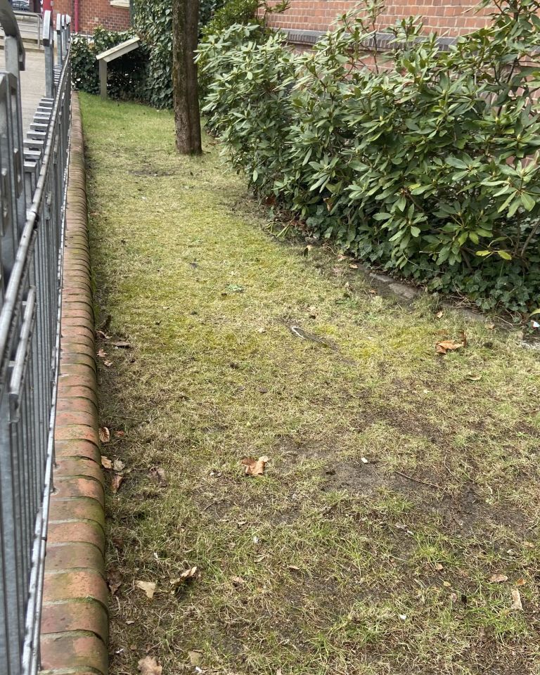 Diese Fläche gehört bald Wildbienen und Insekten.
