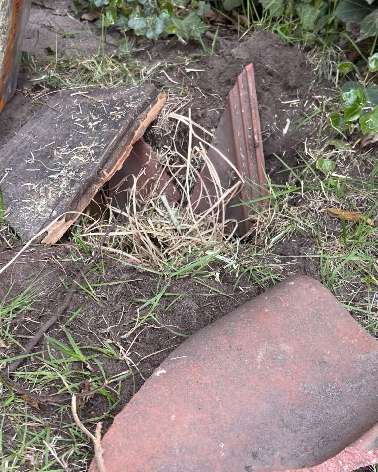 Hummelhöhle bauen. wir haben alte Dachziegel dafür benutzt.